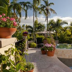 a pool surrounded by palm trees and potted plants next to a patio with a swimming