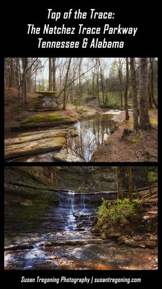 two different views of a stream in the woods