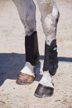 a close up of a horse's legs and feet