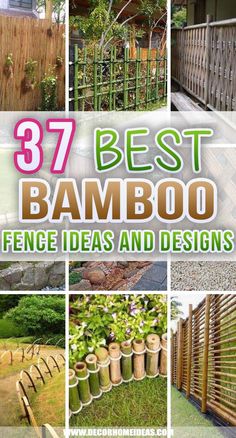 the best bamboo fence ideas and designs for backyards, fences, trees, and more