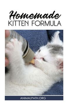 a kitten drinking from a bottle with the words homemade kitten formula on it's side