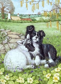 three black and white dogs laying in the grass with flowers on it's side