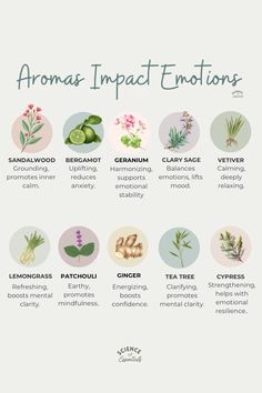 How Aromas impact emotions, aromatherapy, science of essentials, essential oils, emotional health Essential Oils For Mental Health, Benefits Of Patchouli Essential Oil, Home Aromatherapy, Essential Oil Meanings, Aromatherapy Aesthetic, Essential Oil Remedies, Essential Oil Diffuser Benefits, Essential Oils Uses Chart, Essential Oils Benefits