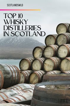 the top 10 whisky distilleries in scotland, with barrels stacked up next to each other