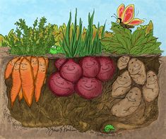 carrots, potatoes and beets are in the soil with a butterfly on top