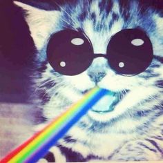 a cat with sunglasses on its face and a rainbow in front of it's eyes