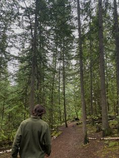 a person walking down a path in the woods