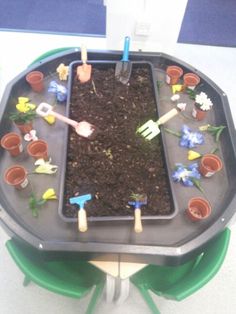 there is a tray with plants and gardening tools in it on top of a table