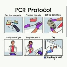 the instructions on how to use pcr protocoi for hair and skin care