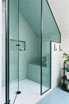 a bathroom with a glass shower stall next to a shelf and potted plant in the corner