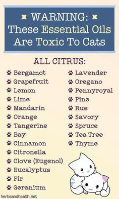 a poster with the words, warning these essential oils are to cats