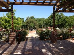 an outdoor area with flowers and benches in the shade, surrounded by trees and shrubbery