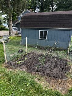 a garden in front of a blue house next to a fence and yard with trees