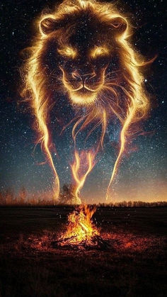 Lion Of Judah Wallpaper, Lion Spirit Animal, Lion Live Wallpaper, Madara Wallpaper, Lion Photography, Spiritual Images, Clydesdale Horses, Lion Wallpaper, Wild Animals Pictures