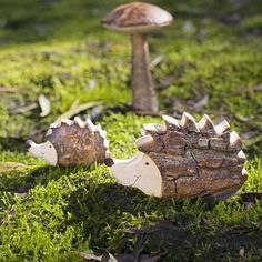 two hedgehogs are sitting in the grass next to a mushroom