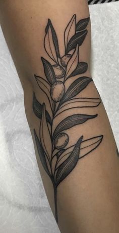 an olive branch tattoo on the left arm with leaves and berries in black ink, done by