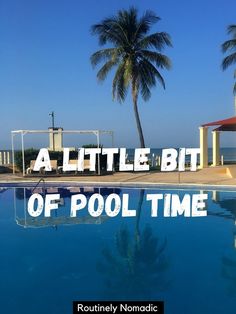 a little bit of pool time with palm trees in the background