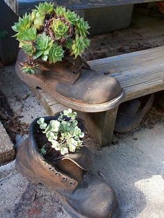 an old pair of boots with plants growing out of them