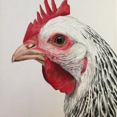 a painting of a rooster with red combs on it's head and white feathers