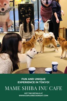 two women are sitting at a table with three dogs in front of them and the words, fun and unique experience in tokyo mame shiba nu cafe