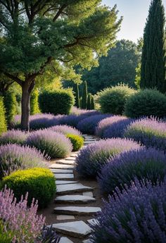 lavender garden with stepping stone path and trees in the background, surrounded by greenery