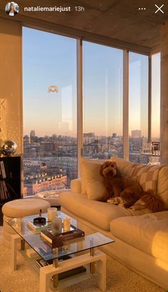 a dog is sitting on a couch in front of a large window overlooking the city