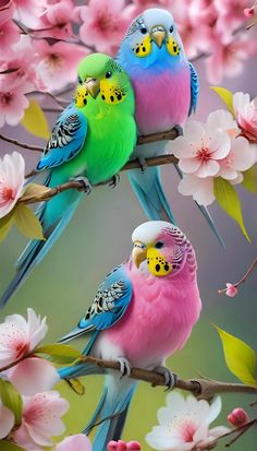 two colorful birds sitting on top of a tree branch next to pink and green flowers