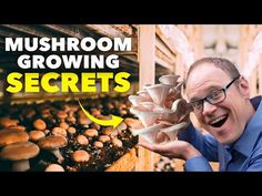 a man holding mushrooms in front of a bunch of them with the words mushroom growing secrets