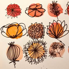 a bunch of flowers that are drawn on paper