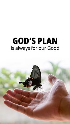 a hand holding a butterfly with the words god's plan is always for our good