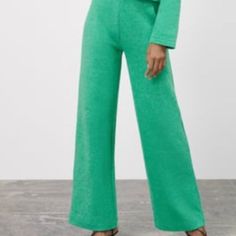 Zara Soft Wide Leg Pants In Green. Very Soft And Comfortable Material! Never Been Worn. Green Wide-leg Loungewear Pants, Green Wide-leg Sweatpants For Fall, Green Wide Leg Sweatpants For Fall, Spring Green Straight Leg Sweatpants, Wide Leg Green Sweatpants For Fall, Green Sweatpants With Elastic Waistband For Spring, Green Straight Leg Sweatpants For Fall, Green Elastic Waistband Sweatpants For Spring, Green Lounge Trousers