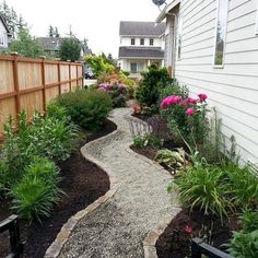 a garden with lots of plants next to a house