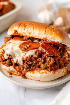 a sloppy joe sandwich on a plate with some other food items in the back ground