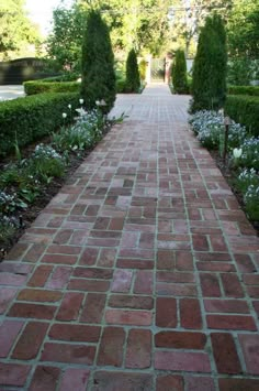 a brick walkway with white flowers and green trees in the back ground, surrounded by hedges