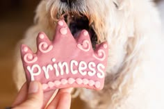 a person holding a pink princess cookie in front of a dog with its mouth open