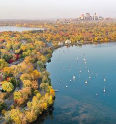 an aerial view of a lake surrounded by trees with boats in it and the city skyline