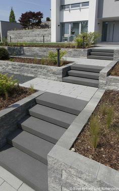 some steps leading up to a building with plants in the foreground and landscaping on either side