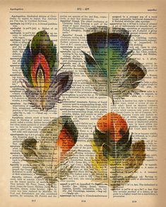 three flowers on an old book page