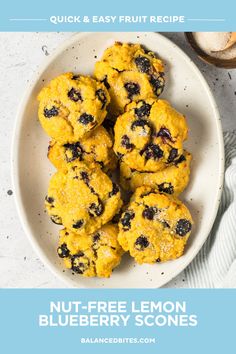 Nut-Free Lemon Blueberry Scone Recipe | Balanced Bites Lemon Blueberry Scones, Blueberry Scone, Blueberry Scones Recipe, Infused Sugar, Baked Good, Blueberry Scones, Spring Brunch