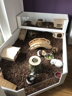 an indoor petting area with various animals and plants in the center, including a cat house