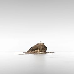 an island in the middle of water with a bird perched on it