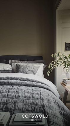 a bed sitting in a bedroom next to a plant on top of a wooden table