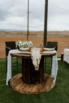 a table with a cow's skull on it is set up in the grass