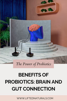 Probiotics have become quite the buzzword in recent years, with numerous studies showing their potential to improve digestion, immunity, and overall health. But what are the mood benefits of probiotics? And what is the brain and gut connection? #moodsupport #feelbetternaturally Benefits Of Probiotics, Probiotic Benefits, Overall Health, Improve Digestion, The Brain, The Mood