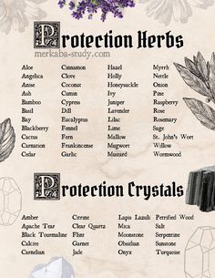 Protection Herbs, Protection Spell Jar, Spell Witchcraft, Tarot Significado, Spells For Beginners, Magia Das Ervas, Protection Spell, Wiccan Magic, Witch Spirituality