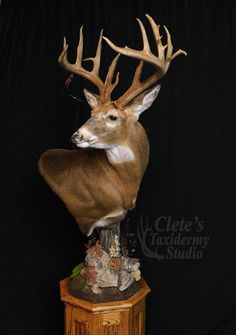 a deer head mounted on top of a wooden stand