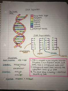 a notebook with some writing on it and a drawing of a double - stranded structure