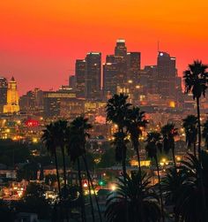 the city skyline is lit up at night, with palm trees and buildings in the foreground