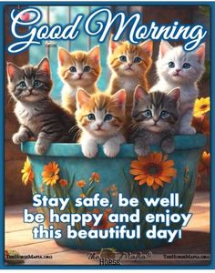 a group of kittens sitting in a flower pot with the words good morning on it