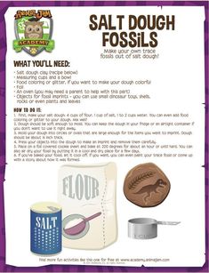 Make your own fossils out of salt dough Salt Dough Fossils, Dinosaur Activities Preschool, Engineering Art, Science Party, Kid Experiments, Science Projects For Kids, Educational Content, Science Activities For Kids